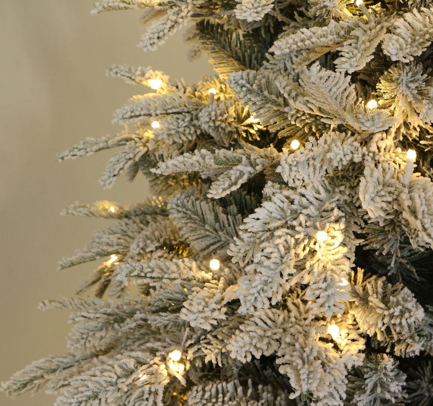 Aalborg 6 Ft Deep Forest Snow Spruce Pre-lit Christmas Tree - Warm White