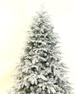 Aalborg 6 Ft Deep Forest Snow Spruce Pre-lit Christmas Tree - Warm White