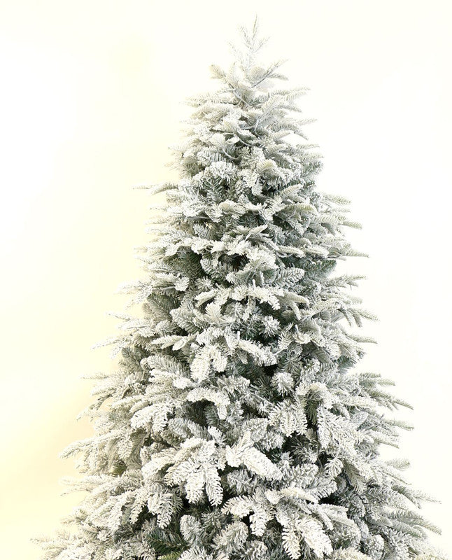 Aalborg 6 Ft Deep Forest Snow Spruce Pre-lit Christmas Tree - Warm White