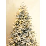 Aalborg 7 Ft Deep Forest Snow Spruce Pre-lit Christmas Tree - Warm White