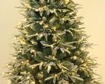 Utrecht 4 Ft Frosted Colorado ICY-Blue Pine Christmas Tree Pre-lit with LED Lights - Warm White