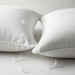 Cotton House 2 Pack Feather Fill King Pillow