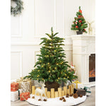 Bergen 4 Ft Potted Appalachian Mountain Fraser Fir Pre-lit with LED Lights - Clear/Warm White