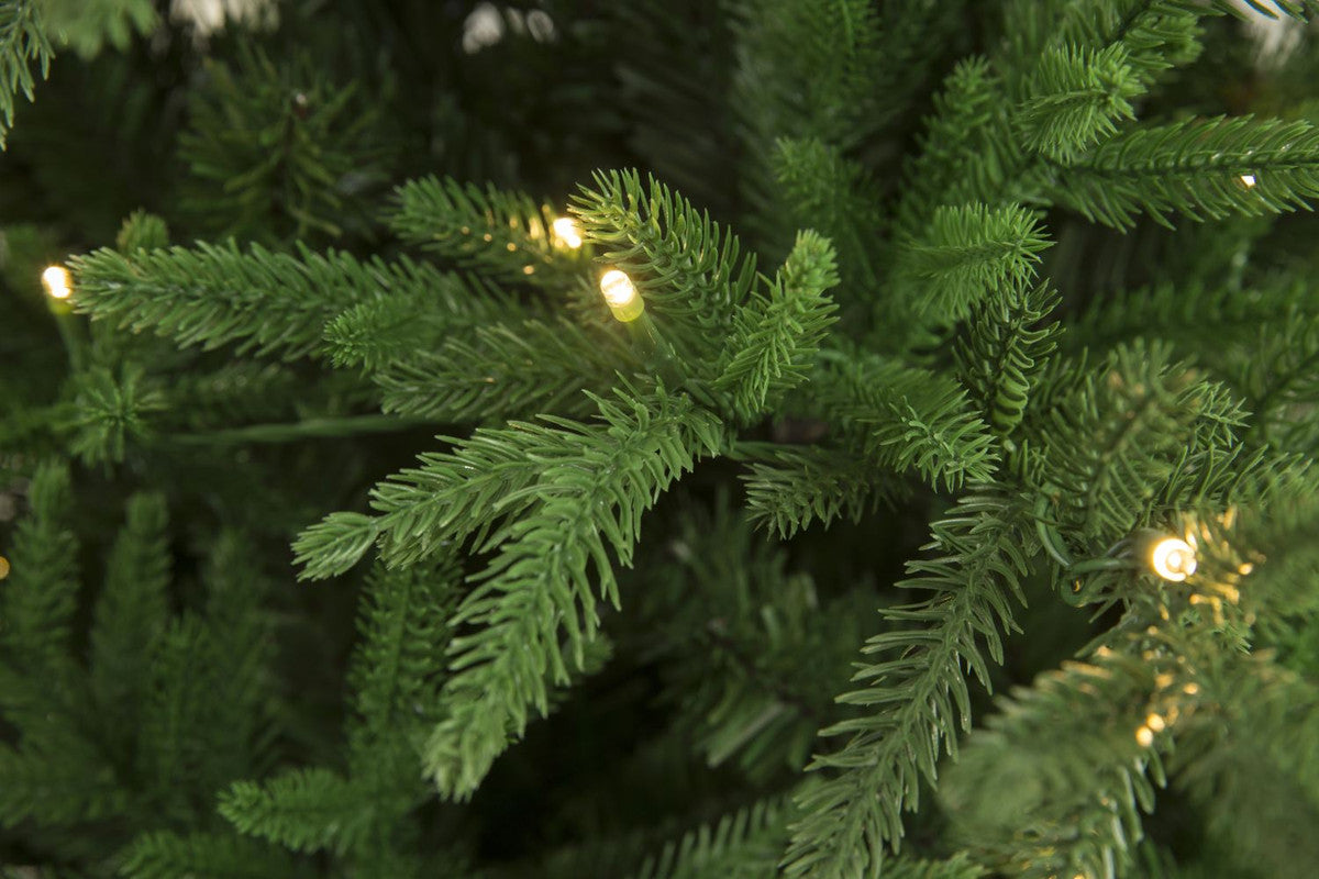 Aarhus 6 Ft Slim Nordmann Fir Christmas Tree Pre-lit with Warm White LED Lights - Warm White