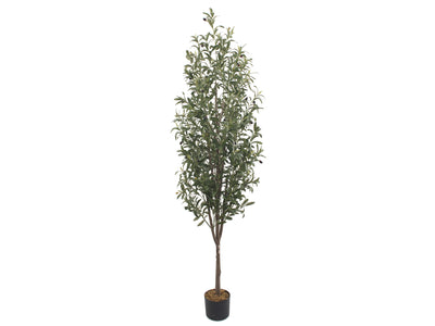 Garden Party 6.23ft Artificial Indoor Olive Tree