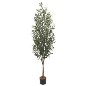 Garden Party 6.23ft Artificial Indoor Olive Tree