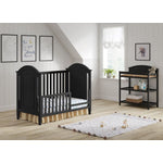 Delia Cottage Crib and Toddler Rail - Black