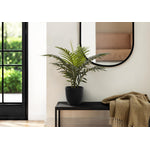 20" Palm Plant With 5" Black Pot - Green