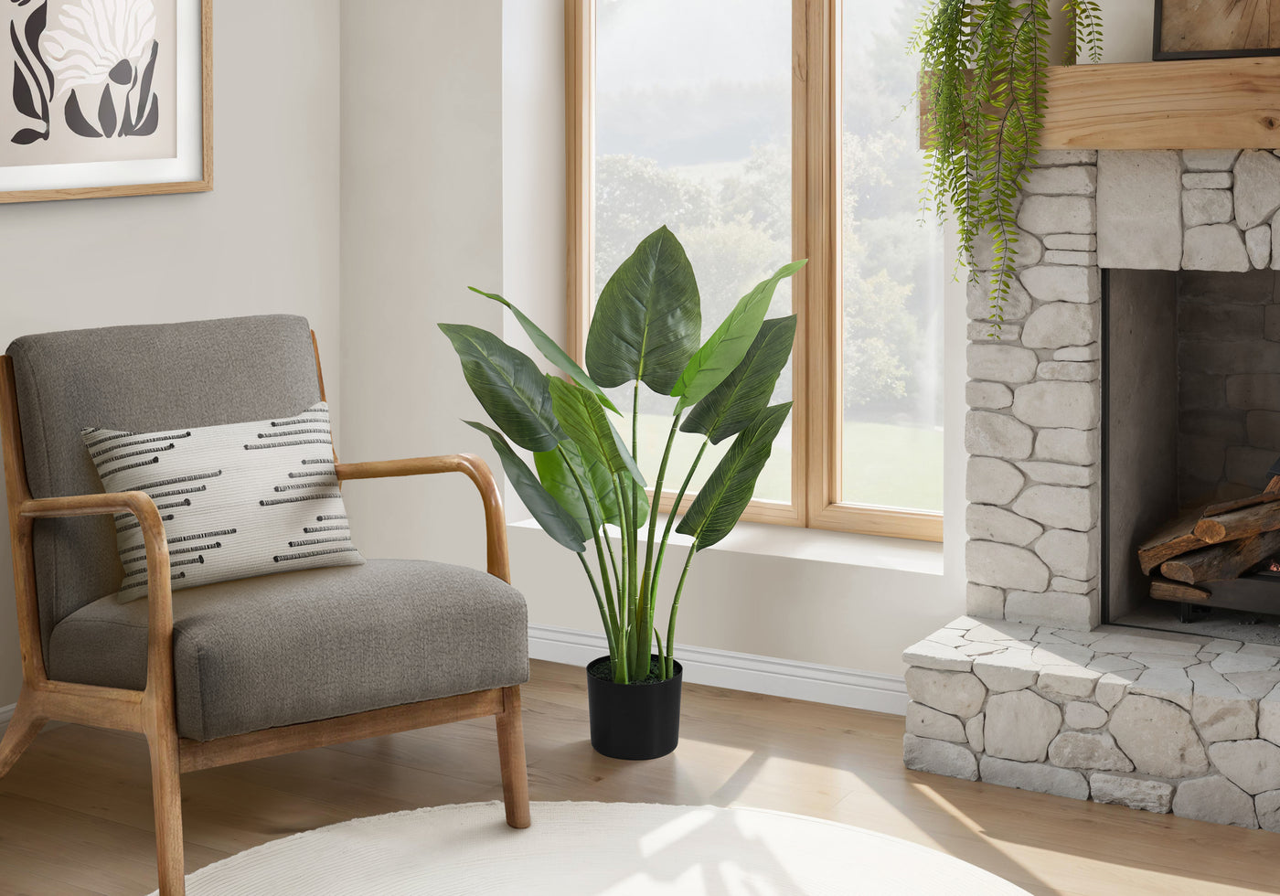 37" Aureum Plant With 5" Black Pot - Green