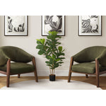 41" Fiddle Tree With 5" Black Pot - Green
