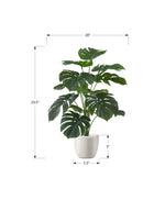 24" Monstera Plant with 5" White Pot - Green - Set of Two