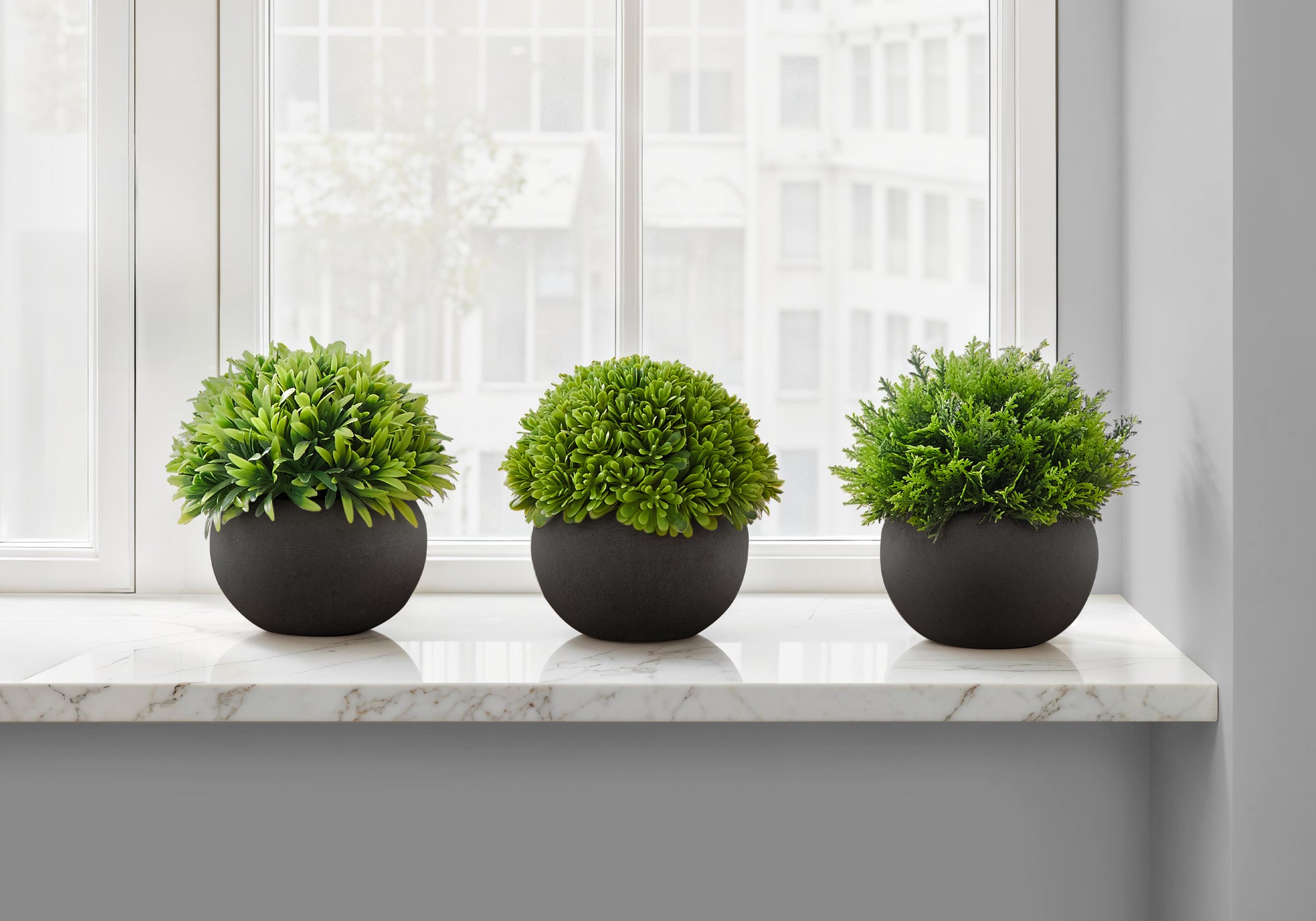 5" Succulent Plant with Black Pot - Green - Set of 3