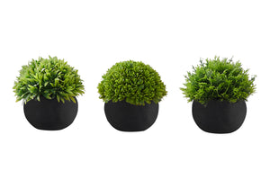 5" Succulent Plant with Black Pot - Green - Set of 3