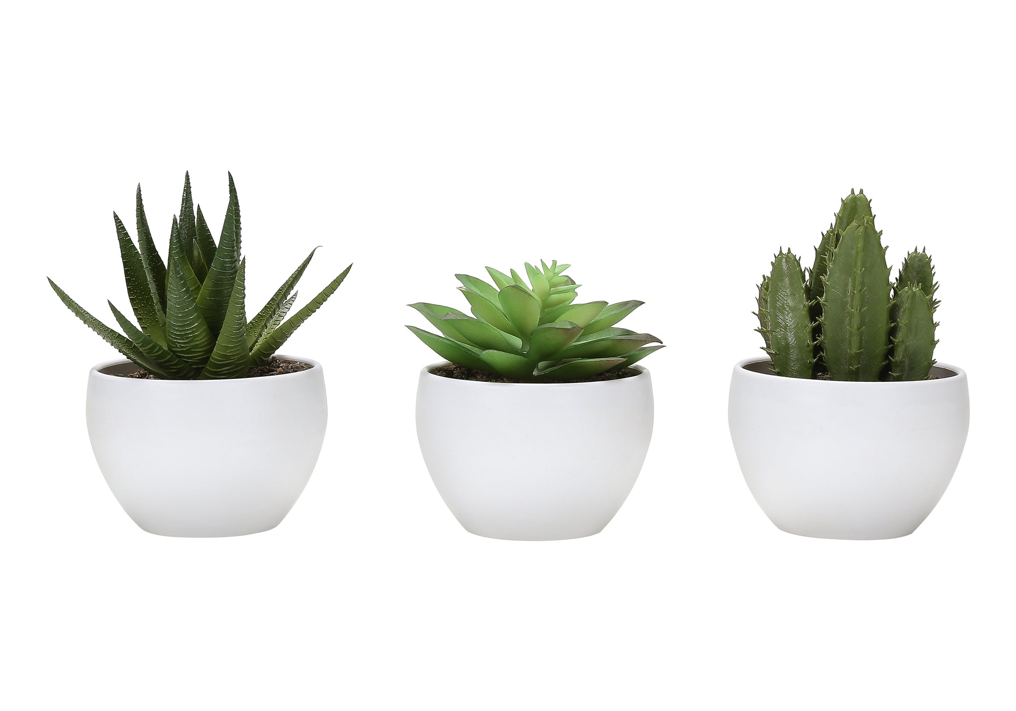 6" Succulent Plant with White Pot - Green - Set of 3