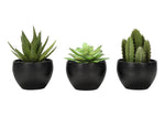 6" Succulent Plant with Black Pot - Green - Set of 3