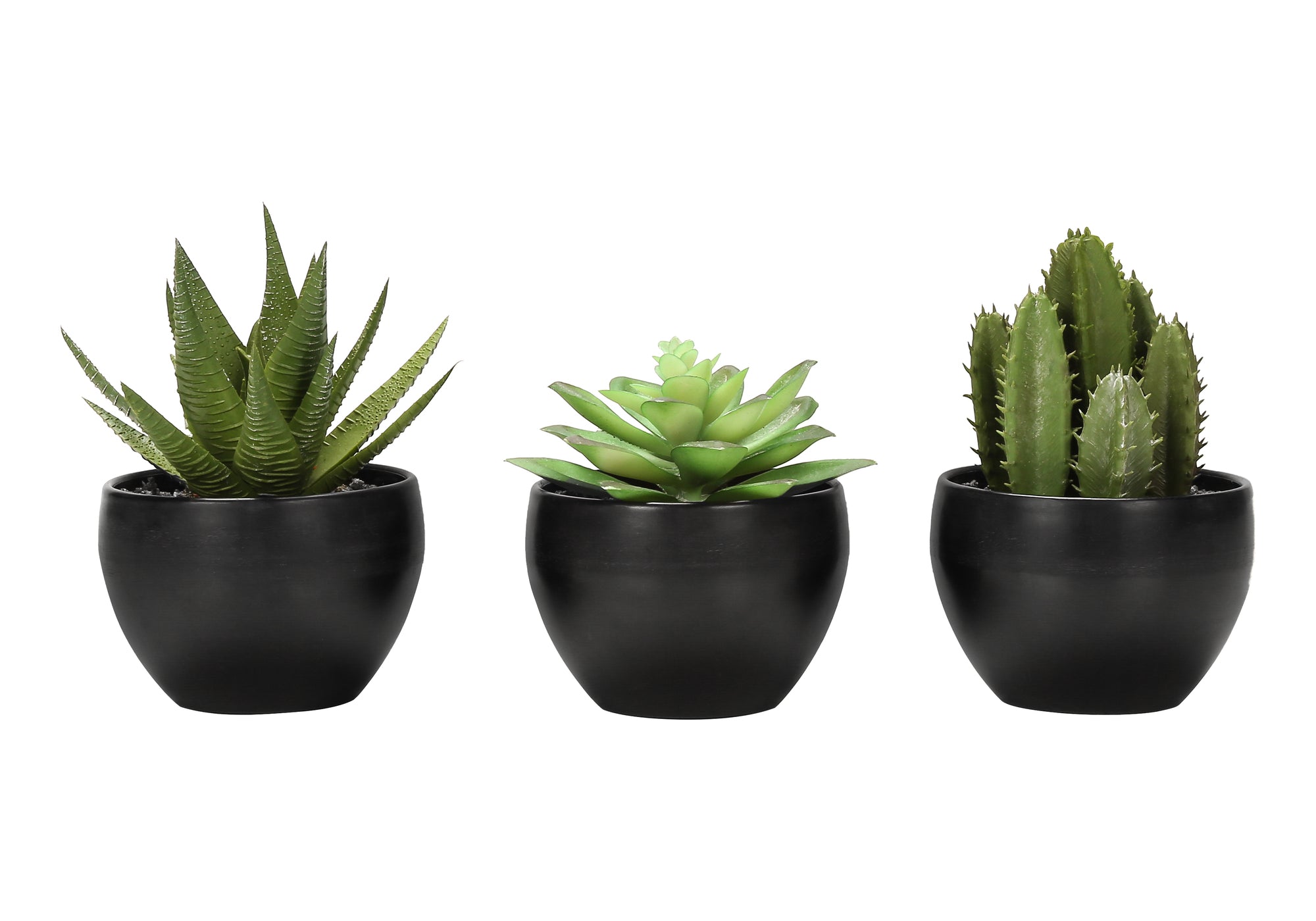 6" Succulent Plant with Black Pot - Green - Set of 3