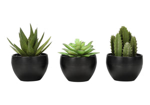 6" Succulent Plant with Black Pot - Green - Set of 3
