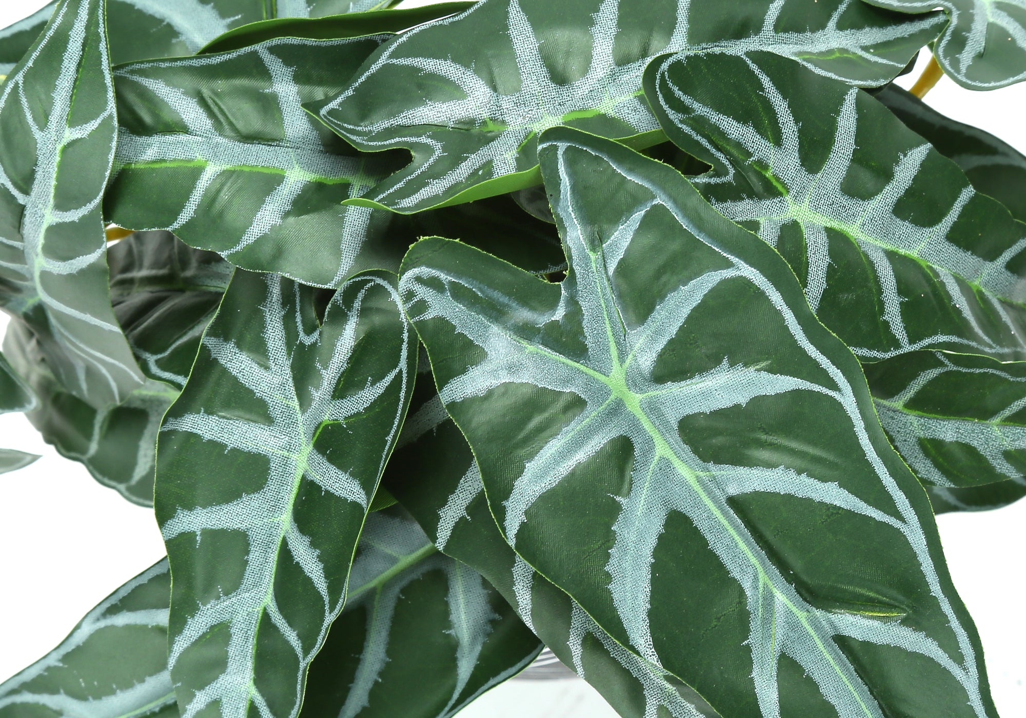 8" Eucalyptus and Grass Plants with 5" Black Pot - Green - Set of Two