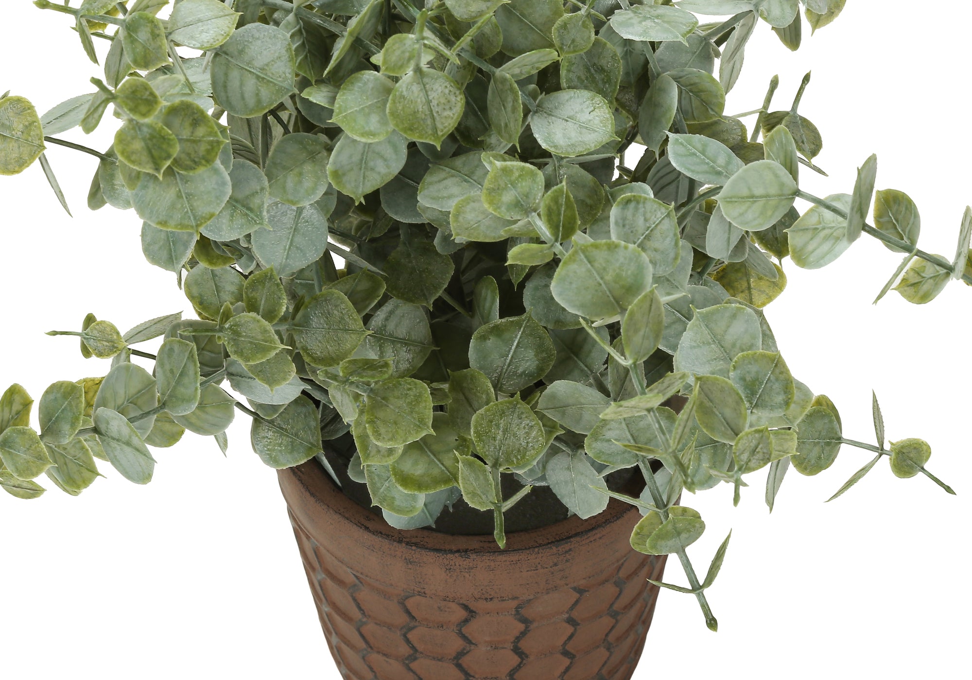 13" Eucalyptus and Grass Plants with 5" Brown Pot - Green - Set of Two