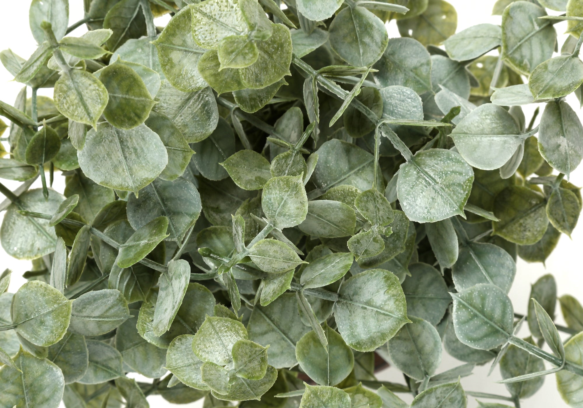 13" Eucalyptus and Grass Plants with 5" Brown Pot - Green - Set of Two
