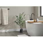 35" Eucalyptus Plant With 5" Black Pot - Green