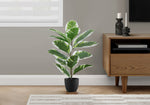 27" Rubber Plant With 5" Black Pot - Green