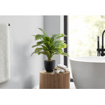 17" Dracaena Plant With 4" Black Pot - Green