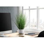 21" Grass Plant With 4" White Pot - Green