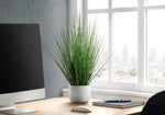21" Grass Plant With 4" White Pot - Green
