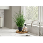 26" Grass Plant With 4" Black Pot - Green