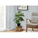 24" Monstera Plant With 5" Black Pot - Green