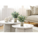 13" Eucalyptus Grass Plant With 4" White Pot - Green - Set of Two