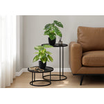 13" Monstera and Calathea Plants with 4" Black Pot - Green - Set of Two