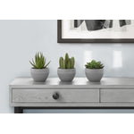 6" Succulent Plant with Grey Pot - Green - Set of Three
