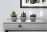 6" Succulent Plant with Grey Pot - Green - Set of Three