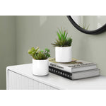 7" Succulent Plant with 3" White Pot - Green - Set of Two