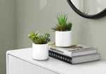 7" Succulent Plant with 3" White Pot - Green - Set of Two