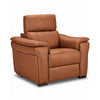 Orlando-Ray Leather Chair - Cognac