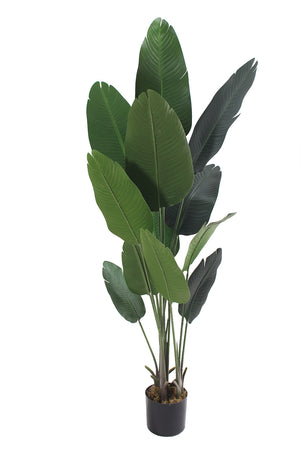 Garden Party 5.91ft Artificial Indoor Banana Tree