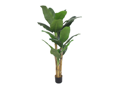 Garden Party 5.91ft Artificial Indoor Multi-Trunk Banana Tree