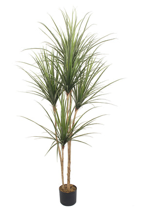 Garden Party 6.73ft Artificial Indoor Yucca Plant