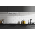 Hauslane Stainless Steel 36" Insert Convertible Range Hood - IN-R100SS-36