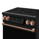 Thor Kitchen Black Stainless Steel Freestanding Professional Electric Range|Gordon Ramsay Series (4.55 cu.ft.) - RSE30B-RSG