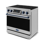 Thor Kitchen Stainless Steel Freestanding Professional Electric Range|Gordon Ramsay Series (6 cu.ft) - RSE36-BLU