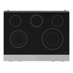 Thor Kitchen Black Stainless Steel Freestanding Professional Electric Range |Gordon Ramsay Series (6 cu.ft) - RSE36B-SS