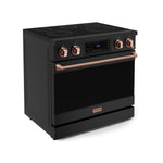 Thor Kitchen Black Stainless Steel Freestanding Professional Electric Range|Gordon Ramsay Series (6 cu.ft) - RSE36B-RSG