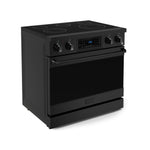 Thor Kitchen Black Stainless Steel Freestanding Professional Electric Range|Gordon Ramsay Series (6 cu.ft) - RSE36B
