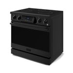 Thor Kitchen Black Stainless Steel Freestanding Professional Electric Range|Gordon Ramsay Series (6 cu.ft) - RSE36B