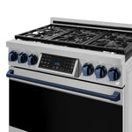 Thor Kitchen Stainless Steel Freestanding Professional Gas Range|Gordon Ramsay Series (6 cu.ft.) - RSG36-BLU