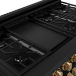 Thor Kitchen Black Stainless Steel Freestanding Professional Double Oven Gas Range|Gordon Ramsay Series (7 cu.ft.) - RSG48EB-BRZ